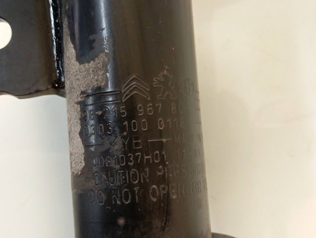 9821596780 Peugeot/Citroen Amortyzator przedni