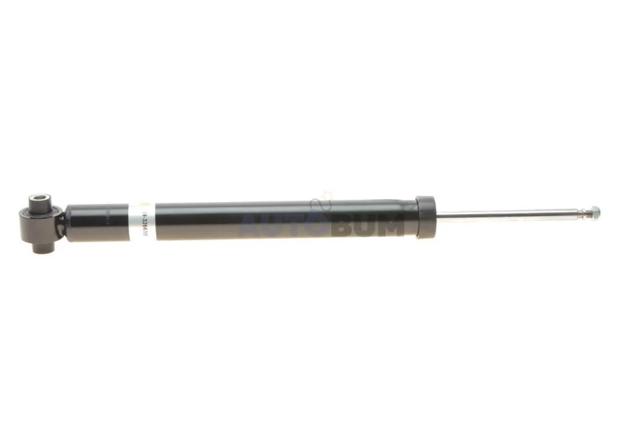 Amortyzator tylny RS446102 Raiso