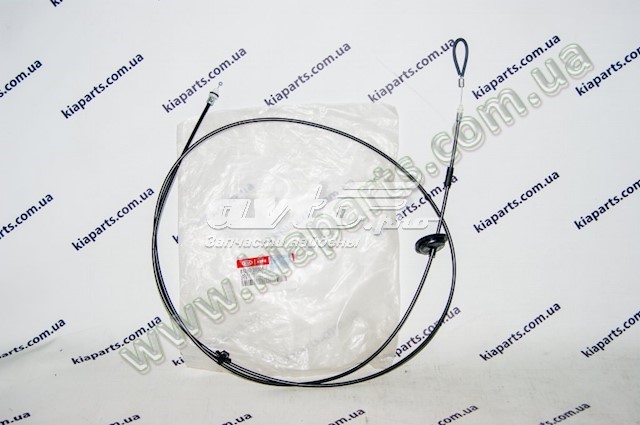 Do koszyka 813101Y030 Hyundai/Kia Zamek drzwi przednich lewych