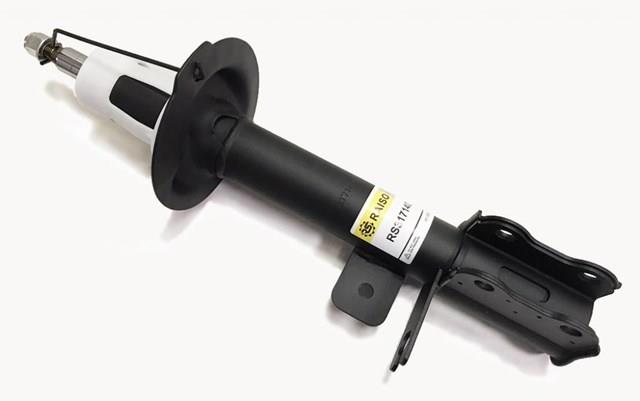 Amortyzator tylny prawy Raiso RS317140 cena, od 47,17 USD
