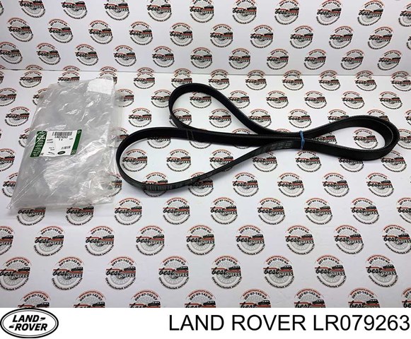 Pasek napędowy mechanizmów, zestaw Land Rover LR079263 cena, od 65,88 USD