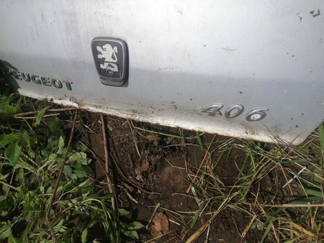 Do koszyka Klapa bagażnika Peugeot 406  8B