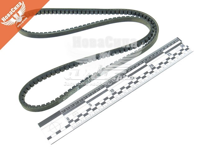Do koszyka 13A1450C Dayco Pas napędowy mechanizmów