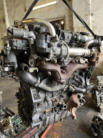 D4204T Peugeot/Citroen Silnik w komplecie