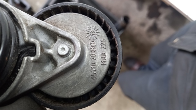 Napinacz paska napędowego Renault (RVI) 117506193R cena, od 51,08 USD