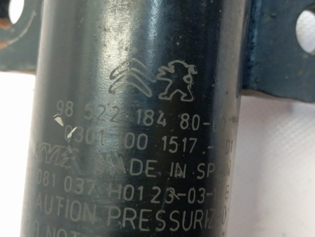 Amortyzator przedni 9852218480 Peugeot/Citroen