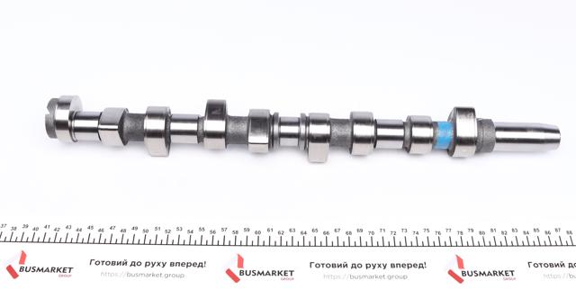 669851 AMC Wał rozrządu silnika