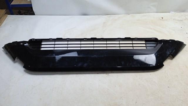 Do koszyka PTY99607AK Signeda Atrapa chłodnicy