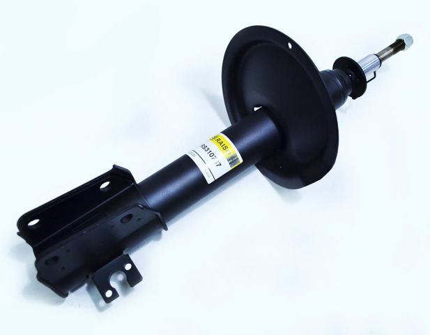 Amortyzator przedni Raiso RS310767 cena, od 58,00 USD