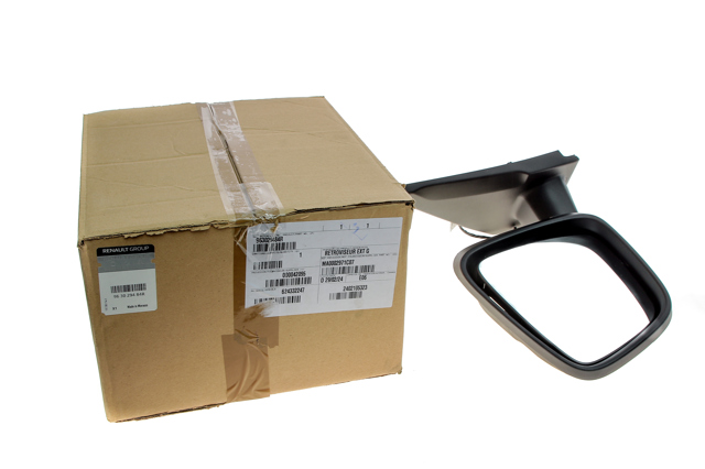 Obudowa lusterka wstecznego lewego 963029484R Renault (RVI)