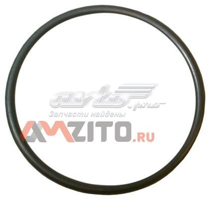 1119606400 JP Group Uszczelka kołnierza (trójnika) układu chłodzenia