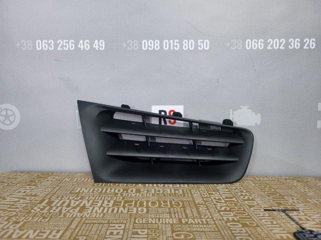 Atrapa chłodnicy 6013273J Polcar