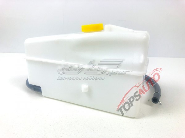 Zbiorniczek wyrównawczy układu chłodzenia do Nissan Almera CLASSIC B10RS