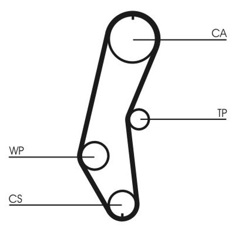 CT666 Continental/Siemens Pasek rozrządu