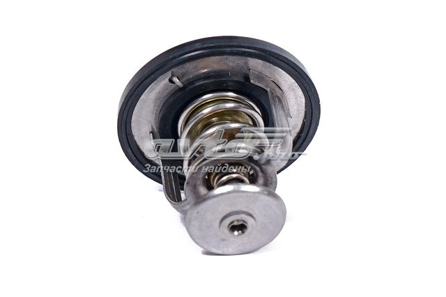 471Q1306950 BYD Termostat