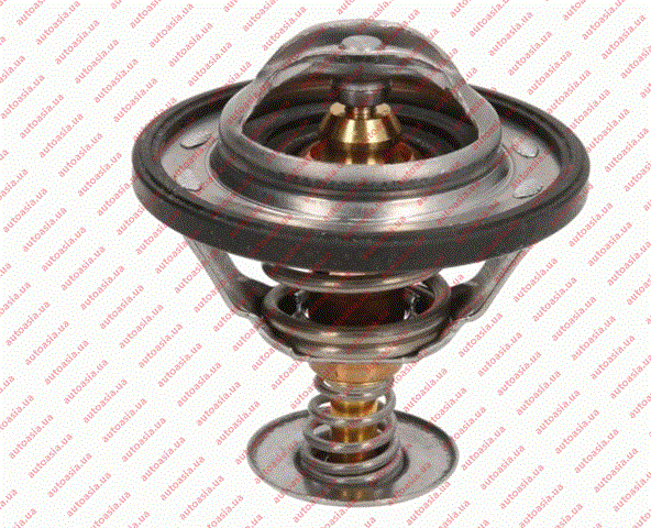 Do koszyka 1023779300 BYD Termostat