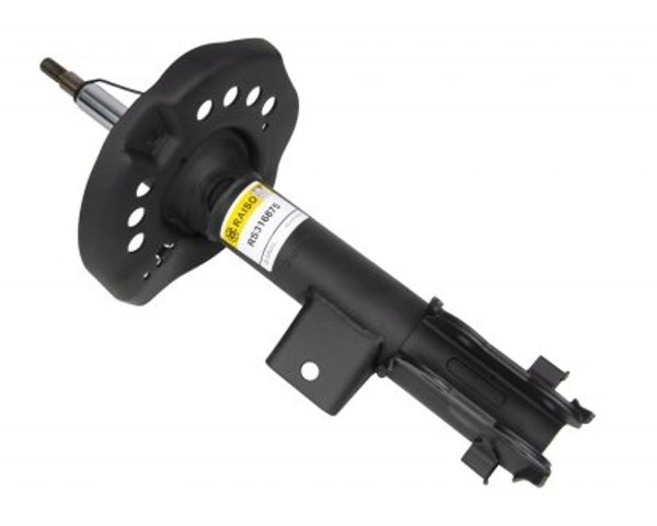 Amortyzator przedni lewy Raiso RS316875 cena, od 68,31 USD