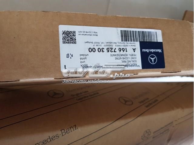  A1667253000 Mercedes