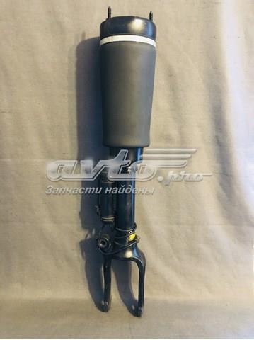 A2513203113 Mercedes Amortyzator przedni
