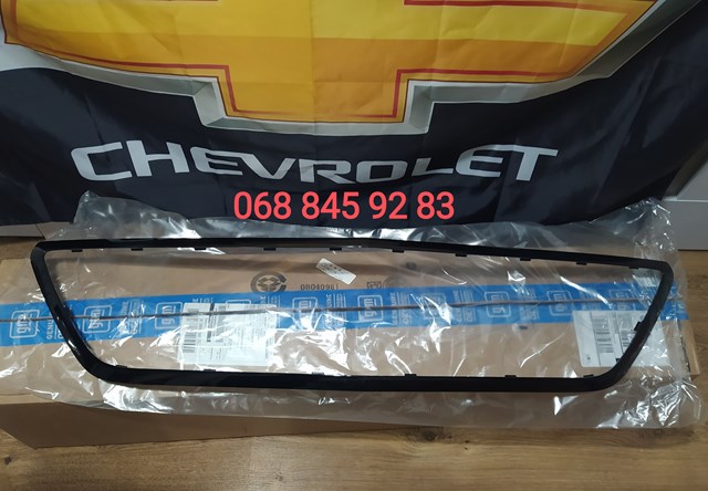 42803279 General Motors Listwa ochronna atrapy chłodnicy