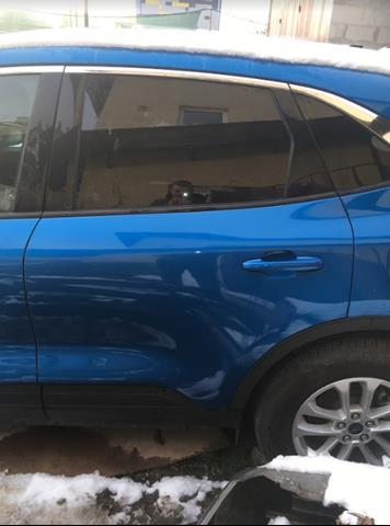 Drzwi tylne lewe Ford LJ6Z7824631A cena, od 496,71 USD