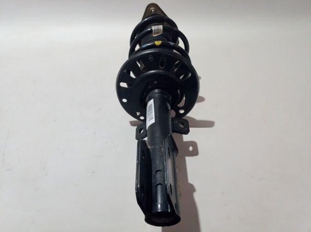 Amortyzator przedni Peugeot/Citroen 9852218480