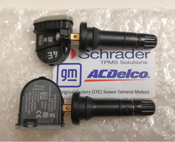  General Motors 13598787