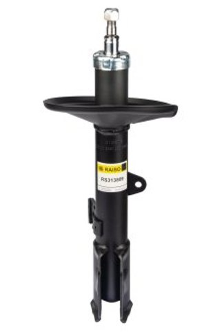  Raiso RS313809