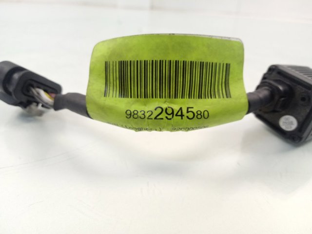Kamera systemu zapewnienia widoczności 9841924880 Peugeot/Citroen