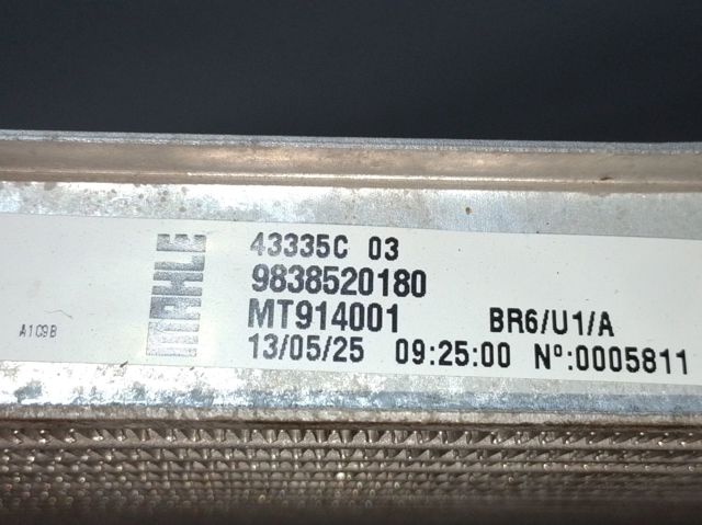 Do koszyka 9838520180 Peugeot/Citroen Chłodnica silnika