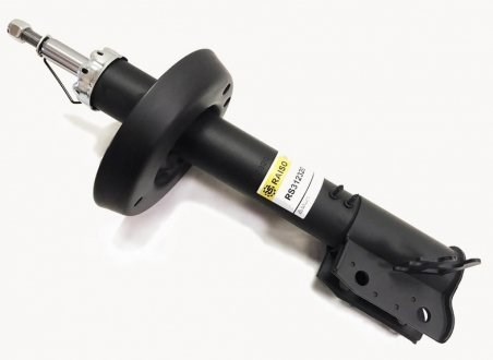Amortyzator przedni prawy Raiso RS312320 cena, od 81,86 USD