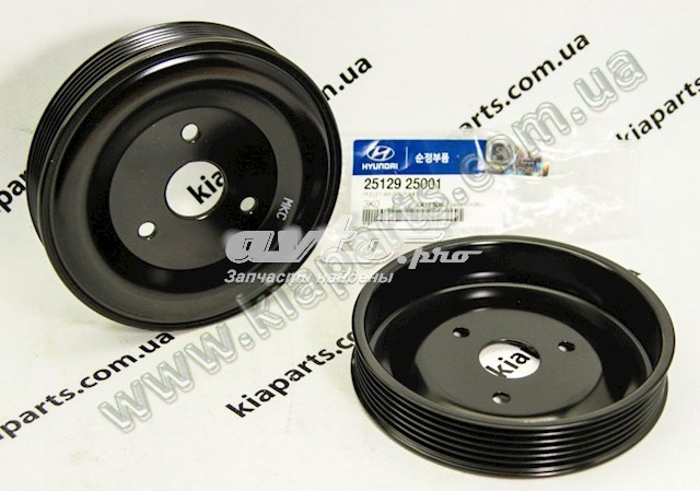 Do koszyka Koło pasowe pompy wodnej Hyundai Sonata V NF