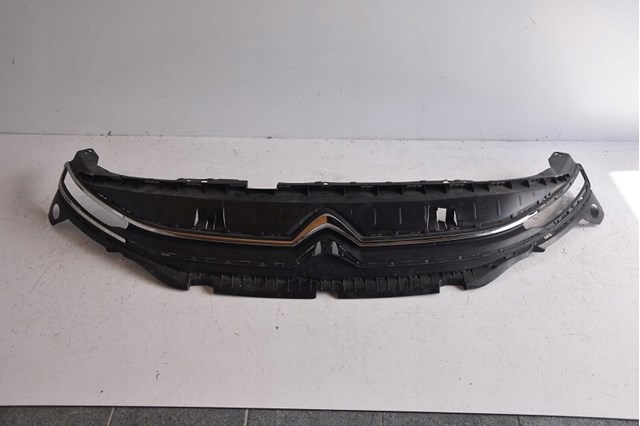 Do koszyka 9816749780 Peugeot/Citroen Atrapa chłodnicy