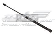 430719080500 Magneti Marelli Amortyzator maski
