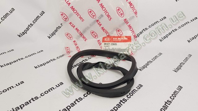 Uszczelniacz zaworu dolotowego/wylotowego 0K65A10155A Hyundai/Kia