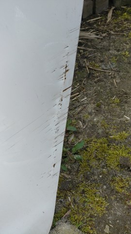 Do koszyka Drzwi tylne lewe Toyota Corolla  E21