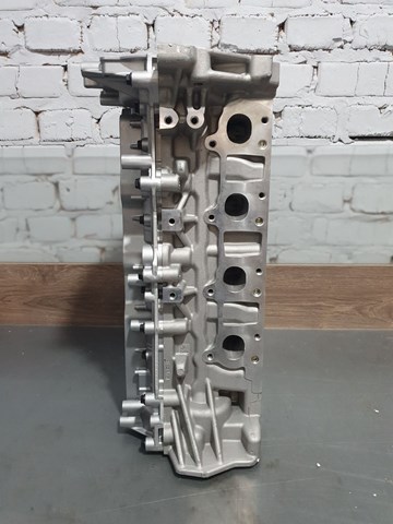 1104100Q1G Nissan/Infiniti Głowica cylindrów