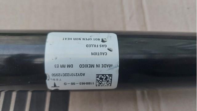118846300D Tesla Amortyzator tylny