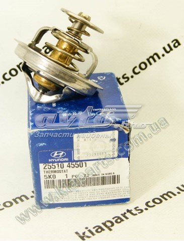 Termostat 2551045501 Hyundai/Kia