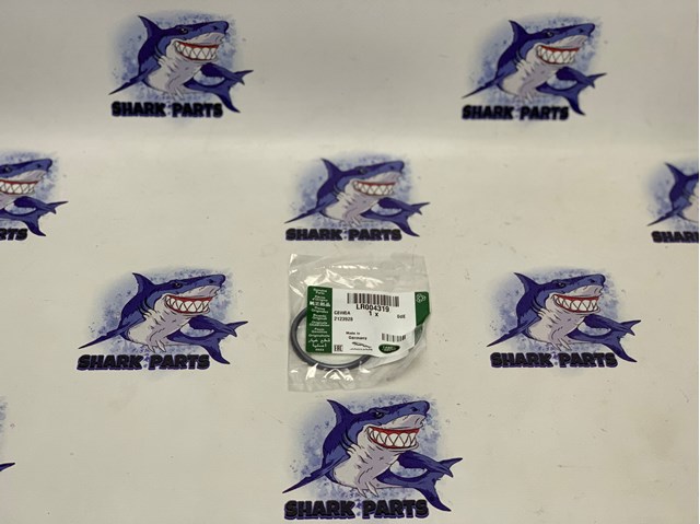 Uszczelka termostatu Land Rover Range Rover III