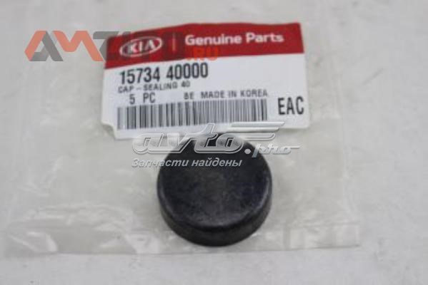 Zaślepka głowicy cylindrów/bloku cylindrów 1573440000 Hyundai/Kia
