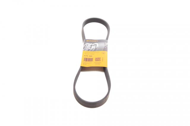 Pas napędowy mechanizmów Continental/Siemens 6PK955 cena, od 13,53 USD