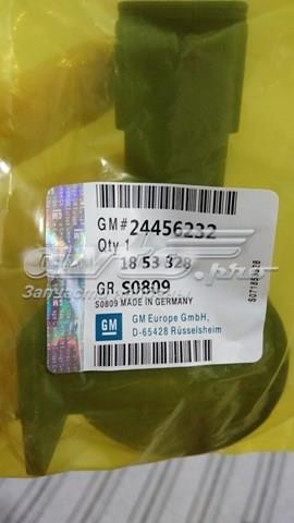 24456232 General Motors Separator oleju układu wentylacji kadłuda (bloku silnika)