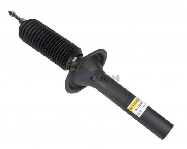 Amortyzator przedni Raiso RS230965 cena, od 66,21 USD