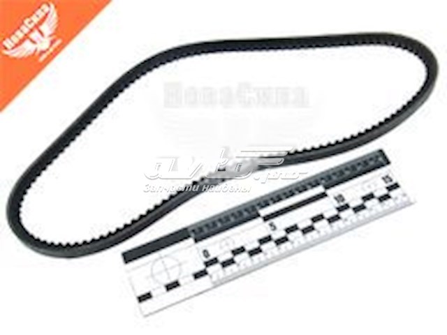  Dayco 10A0813C