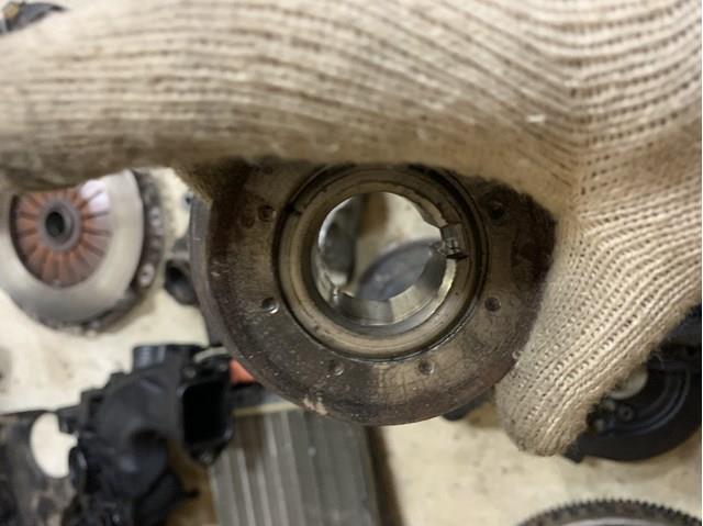 9656584580 Fiat/Alfa/Lancia Koło zębate walcowe napędu wałka rozrządu