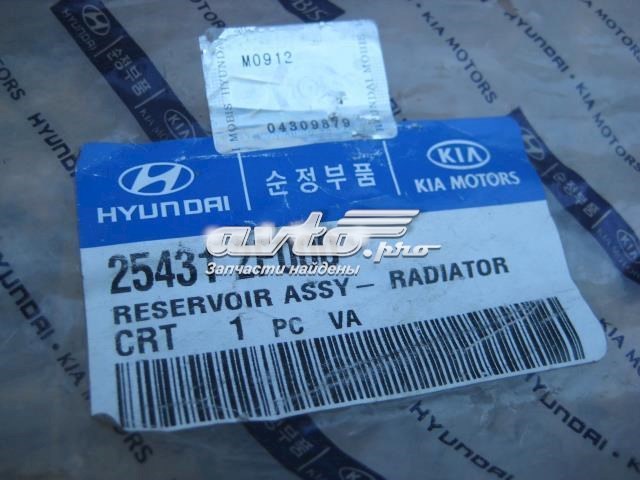 Zbiorniczek wyrównawczy układu chłodzenia do KIA Cerato I LD