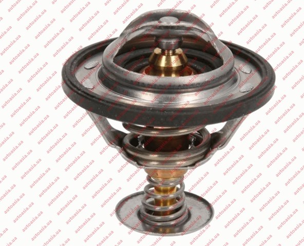 Termostat 1023779300 BYD