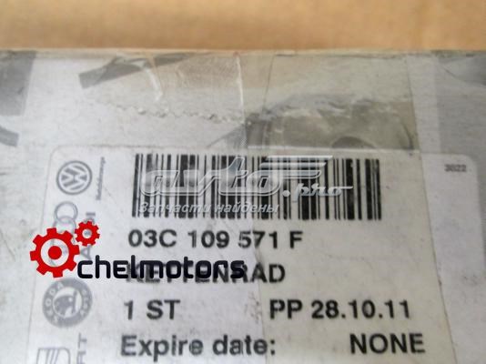 Koło zębatewalcowe wałka rozrządu silnika VAG 03C109571F