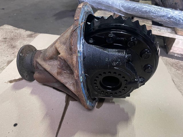 Reduktor mostu tylnego Hyundai Terracan SUV (HP) (2001 - 2006) cena, od  